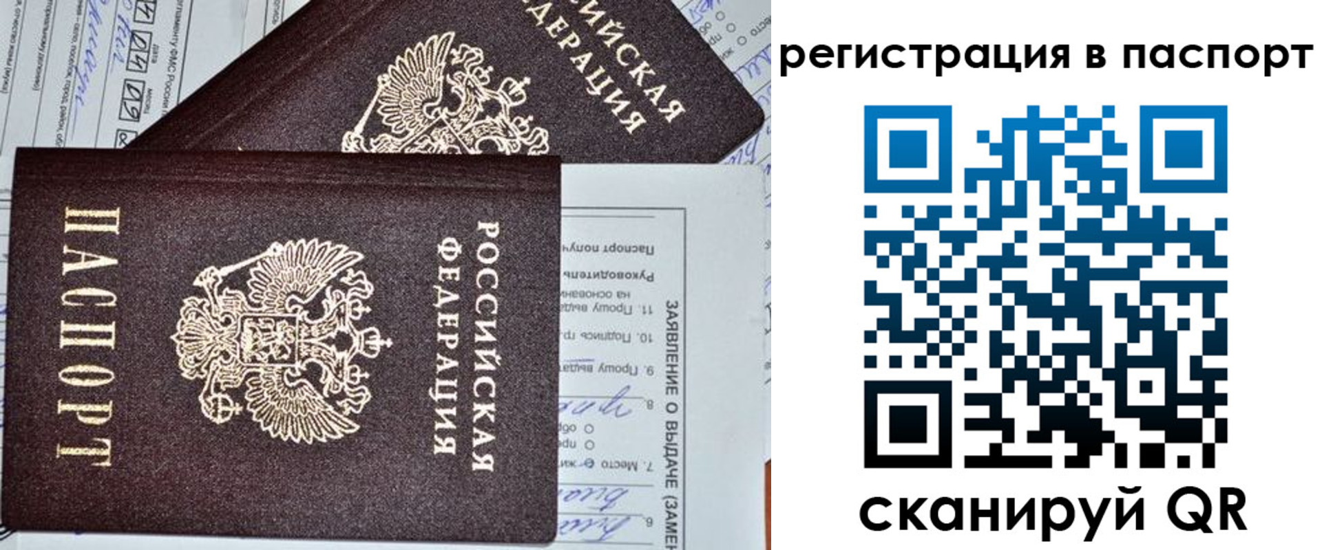 прописка законно в Павловске